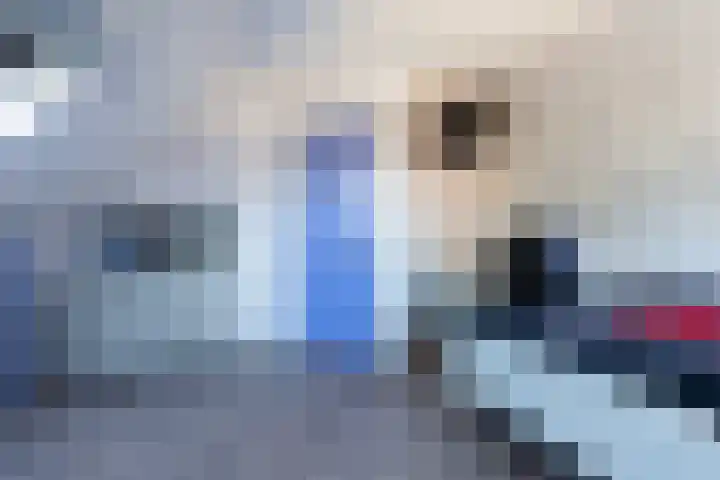 Boskwei 55 Sweagerbosk thumbnail 59