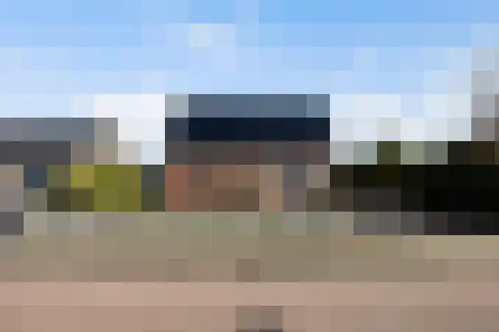 Boskwei 55 Sweagerbosk thumbnail 6