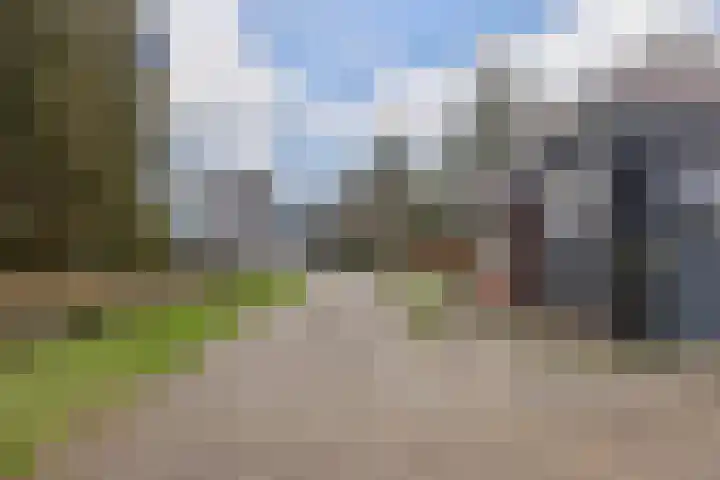 Boskwei 6 De Westereen thumbnail 11