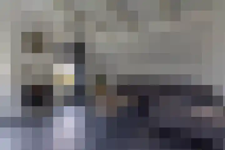 Boskwei 6 De Westereen thumbnail 14