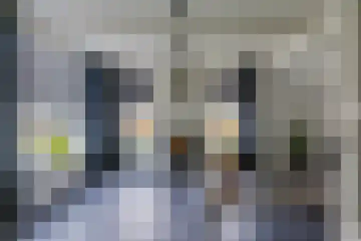 Boskwei 6 De Westereen thumbnail 17