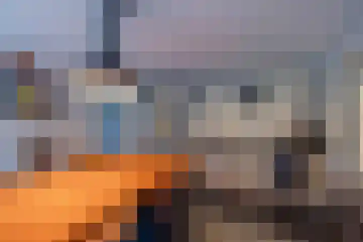 Boskwei 6 De Westereen thumbnail 18