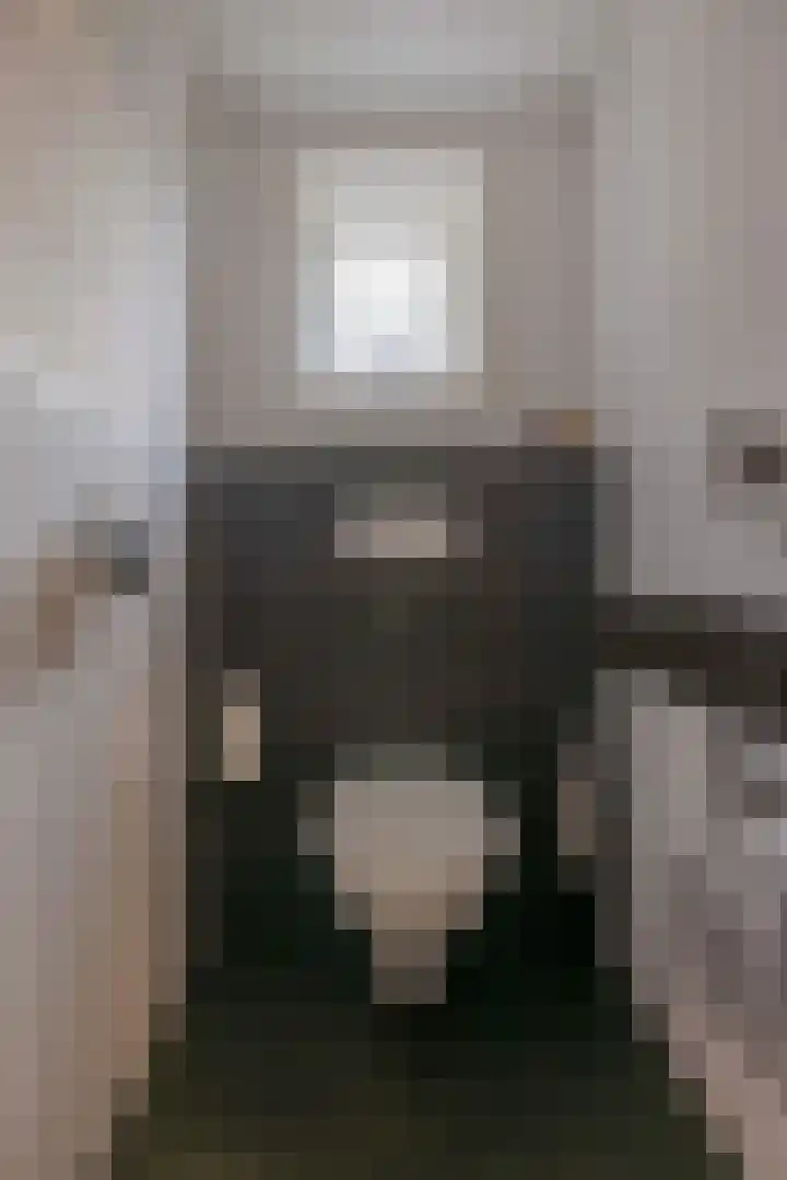 Boskwei 6 De Westereen thumbnail 23
