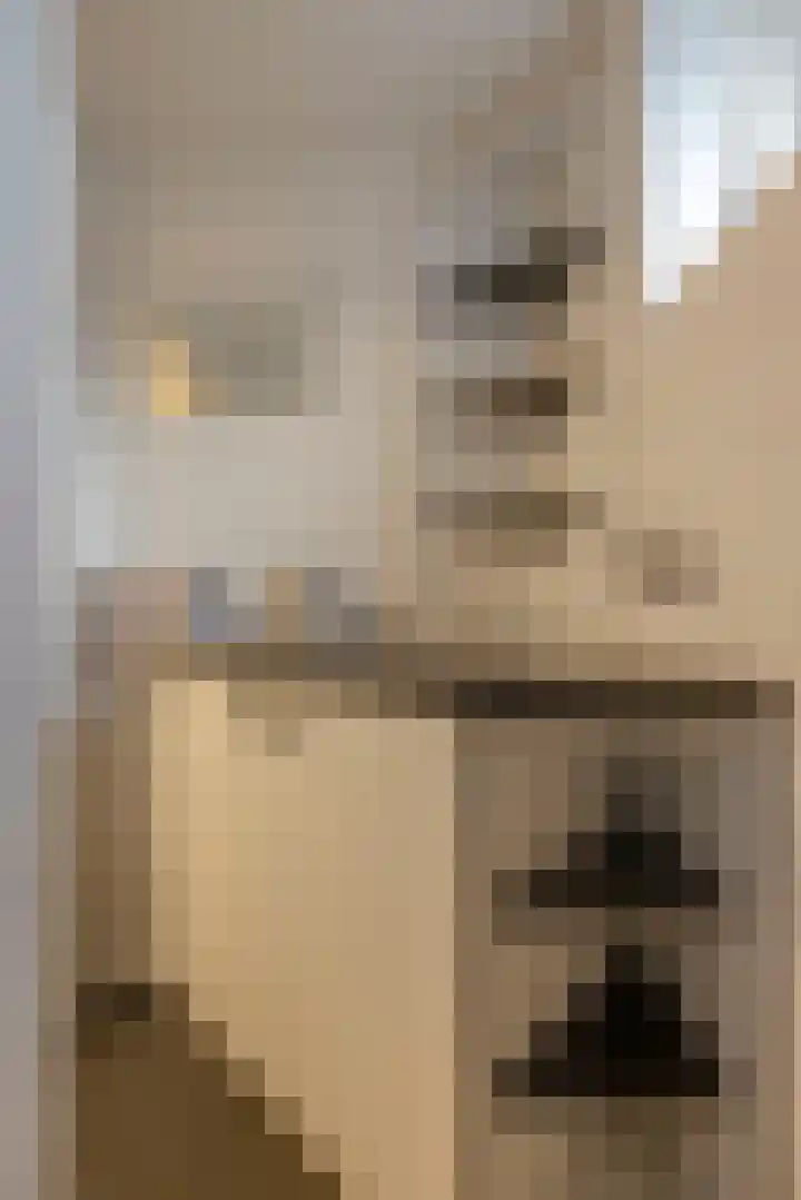 Boskwei 6 De Westereen thumbnail 27