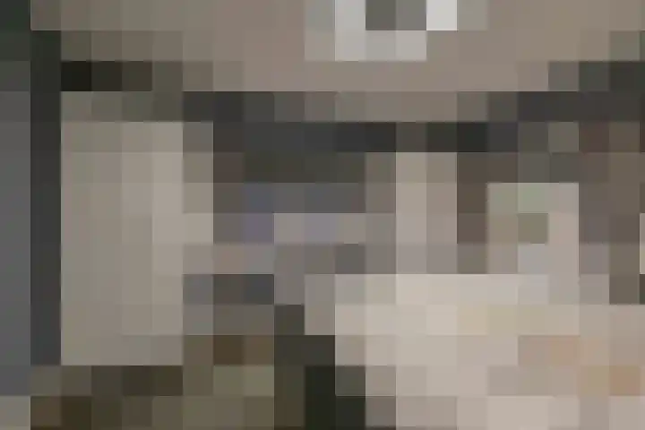 Boskwei 6 De Westereen thumbnail 29