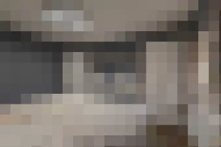 Boskwei 6 De Westereen thumbnail 30
