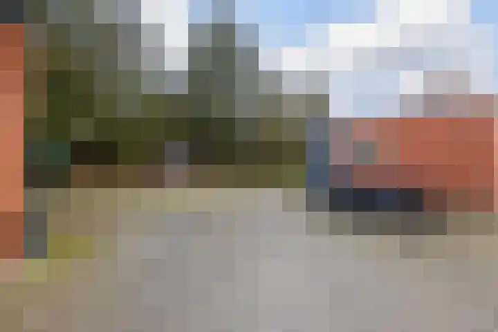 Boskwei 6 De Westereen thumbnail 34