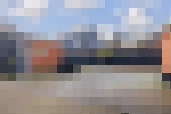 Boskwei 6 De Westereen thumbnail 35