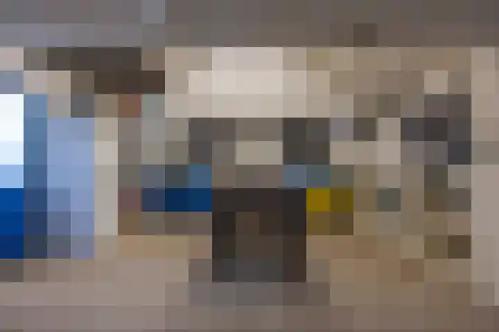 Boskwei 6 De Westereen thumbnail 39
