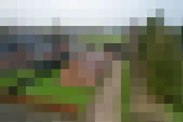 Boskwei 6 De Westereen thumbnail 4