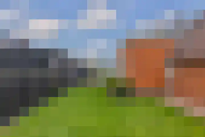 Boskwei 6 De Westereen thumbnail 41
