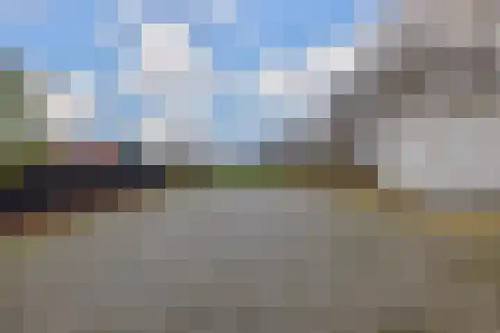Boskwei 6 De Westereen thumbnail 42