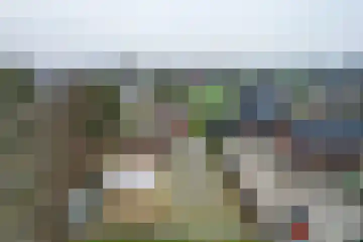 Boskwei 6 De Westereen thumbnail 43