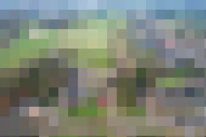 Boskwei 6 De Westereen thumbnail 44