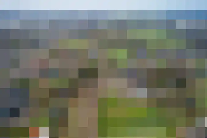 Boskwei 6 De Westereen thumbnail 46