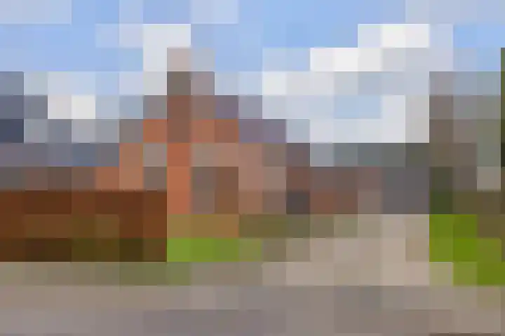 Boskwei 6 De Westereen thumbnail 5