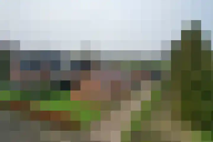 Boskwei 6 De Westereen thumbnail 6