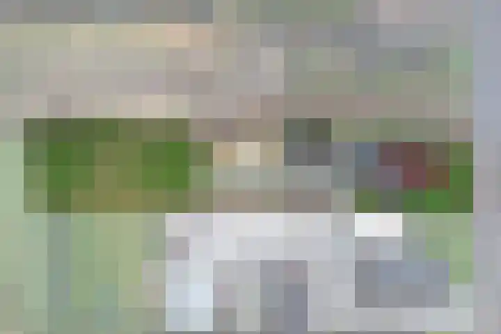 Boskwei 6 De Westereen thumbnail 7