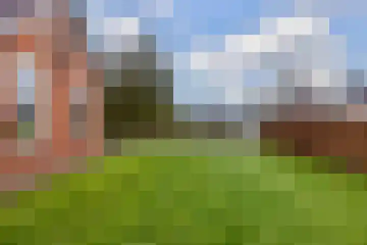 Boskwei 6 De Westereen thumbnail 8
