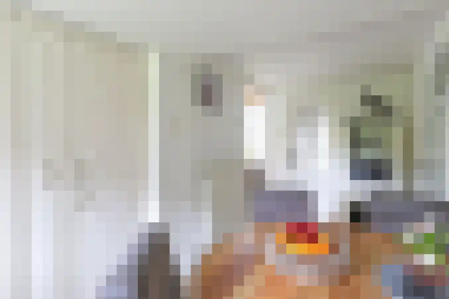 Boskwei 71 Sweagerbosk thumbnail 17