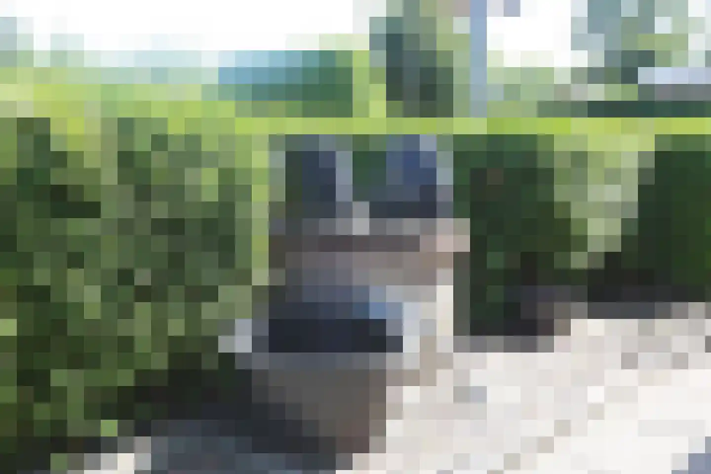 Boskwei 71 Sweagerbosk thumbnail 44