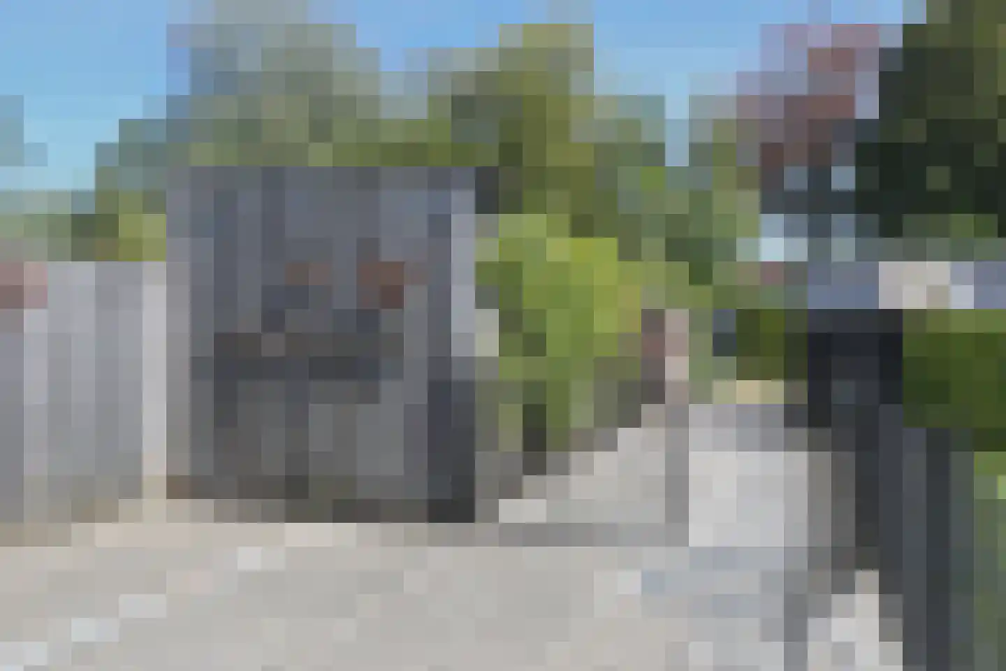 Boskwei 71 Sweagerbosk thumbnail 45