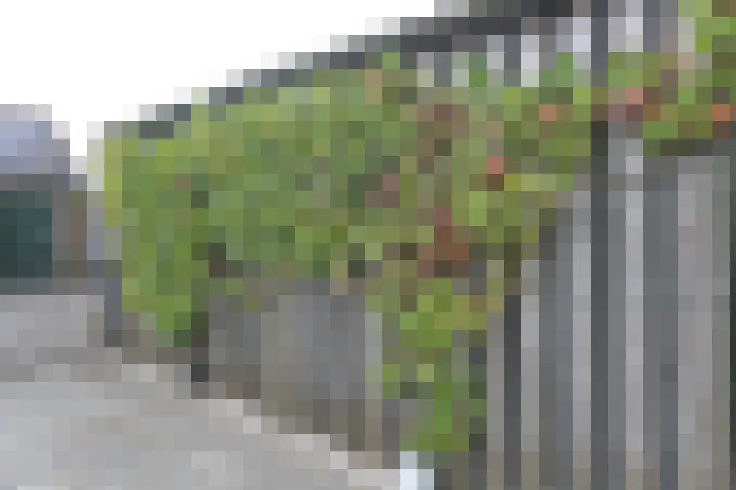 Boskwei 71 Sweagerbosk thumbnail 47