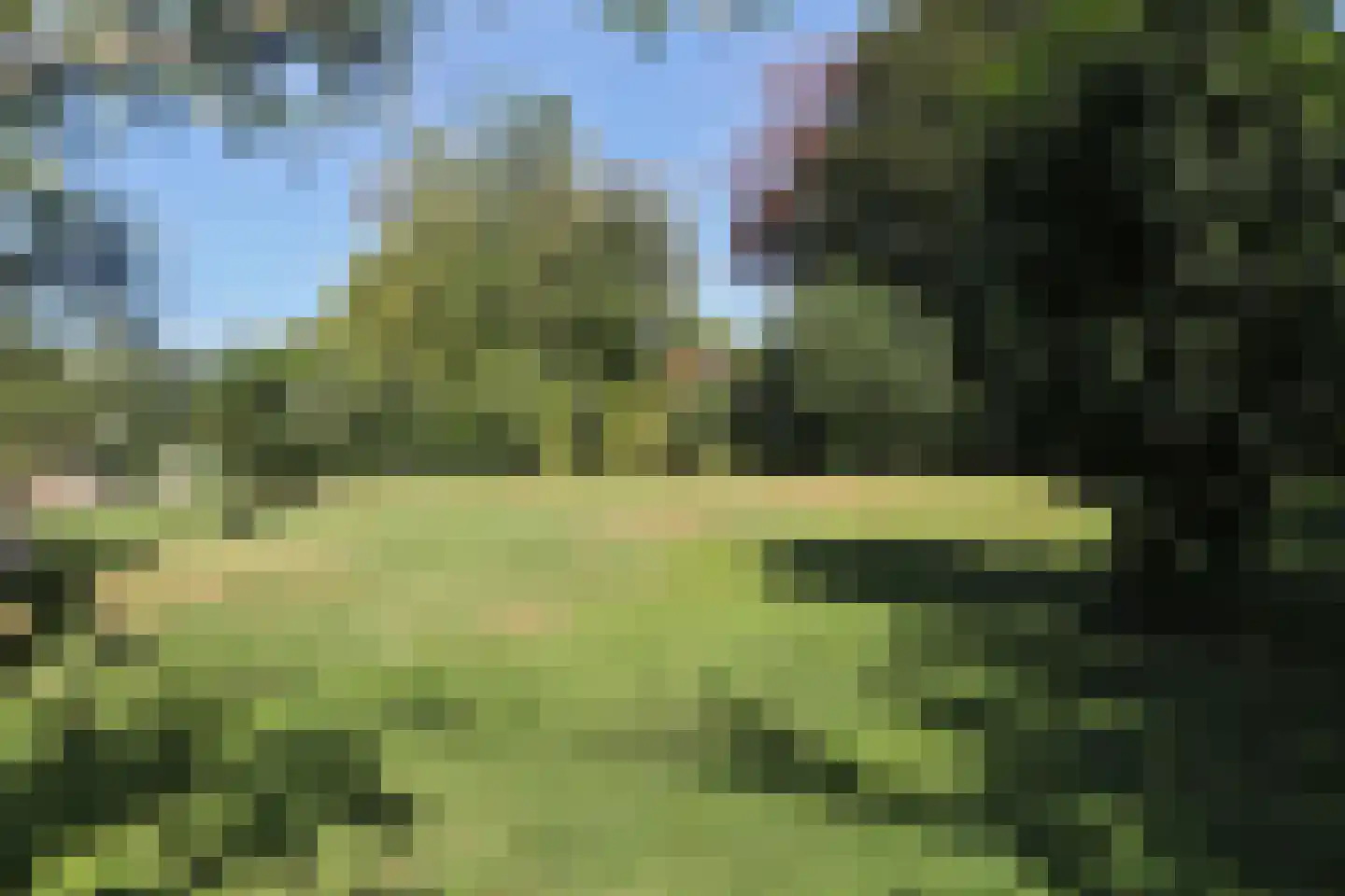 Boskwei 71 Sweagerbosk thumbnail 54