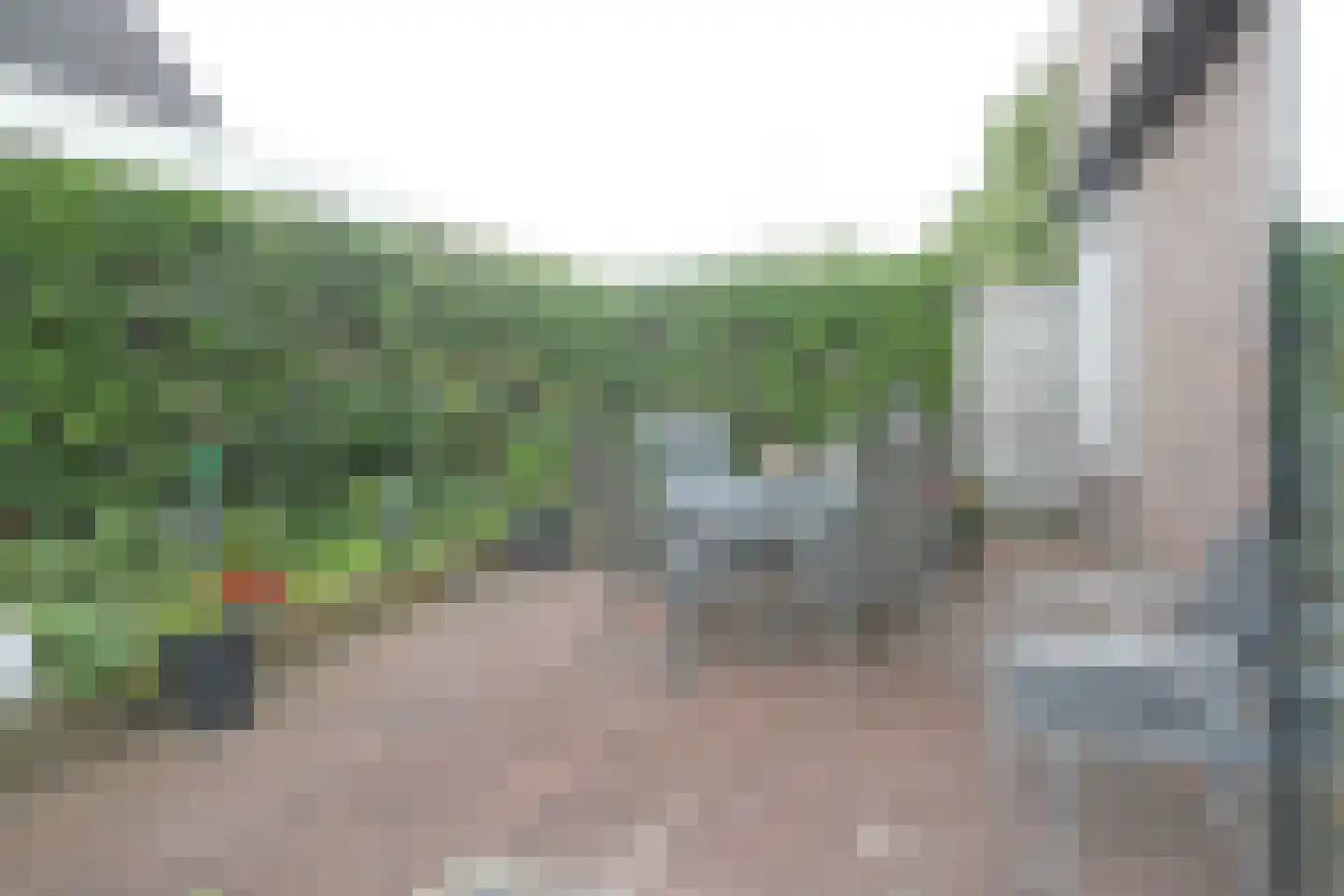Boskwei 71 Sweagerbosk thumbnail 60