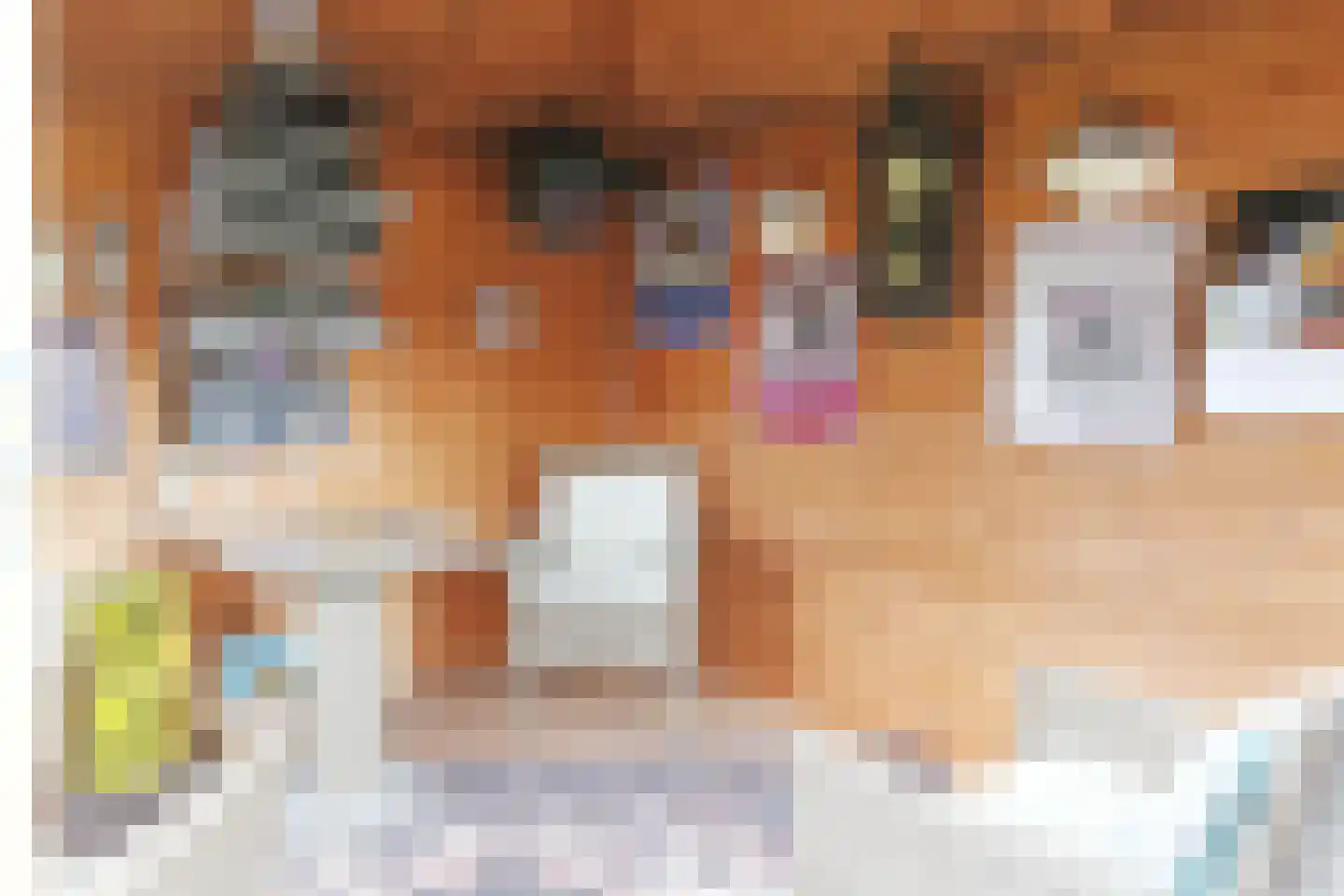 Boskwei 71 Sweagerbosk thumbnail 62