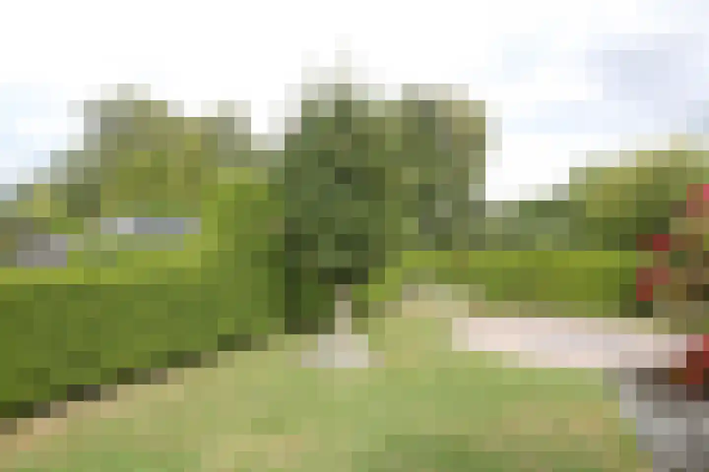 Boskwei 71 Sweagerbosk thumbnail 63