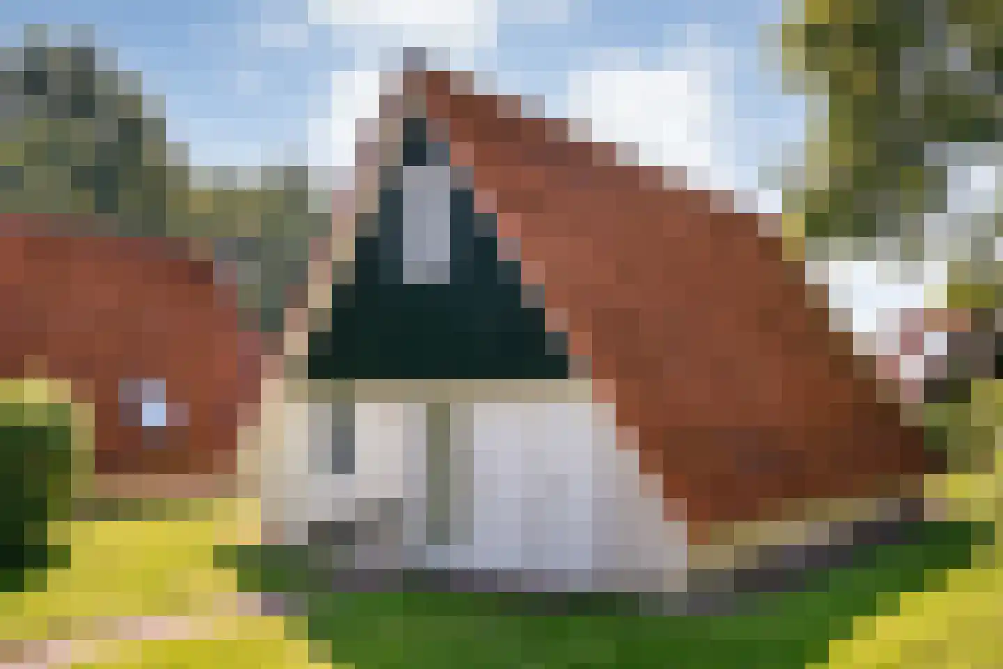 Boslaan 1 116 in Gramsbergen