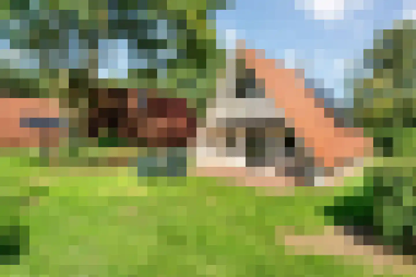 Boslaan 1 116 Gramsbergen thumbnail 30