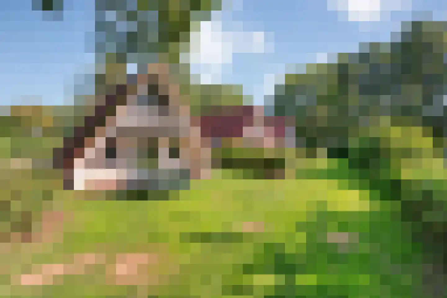 Boslaan 1 116 Gramsbergen thumbnail 31
