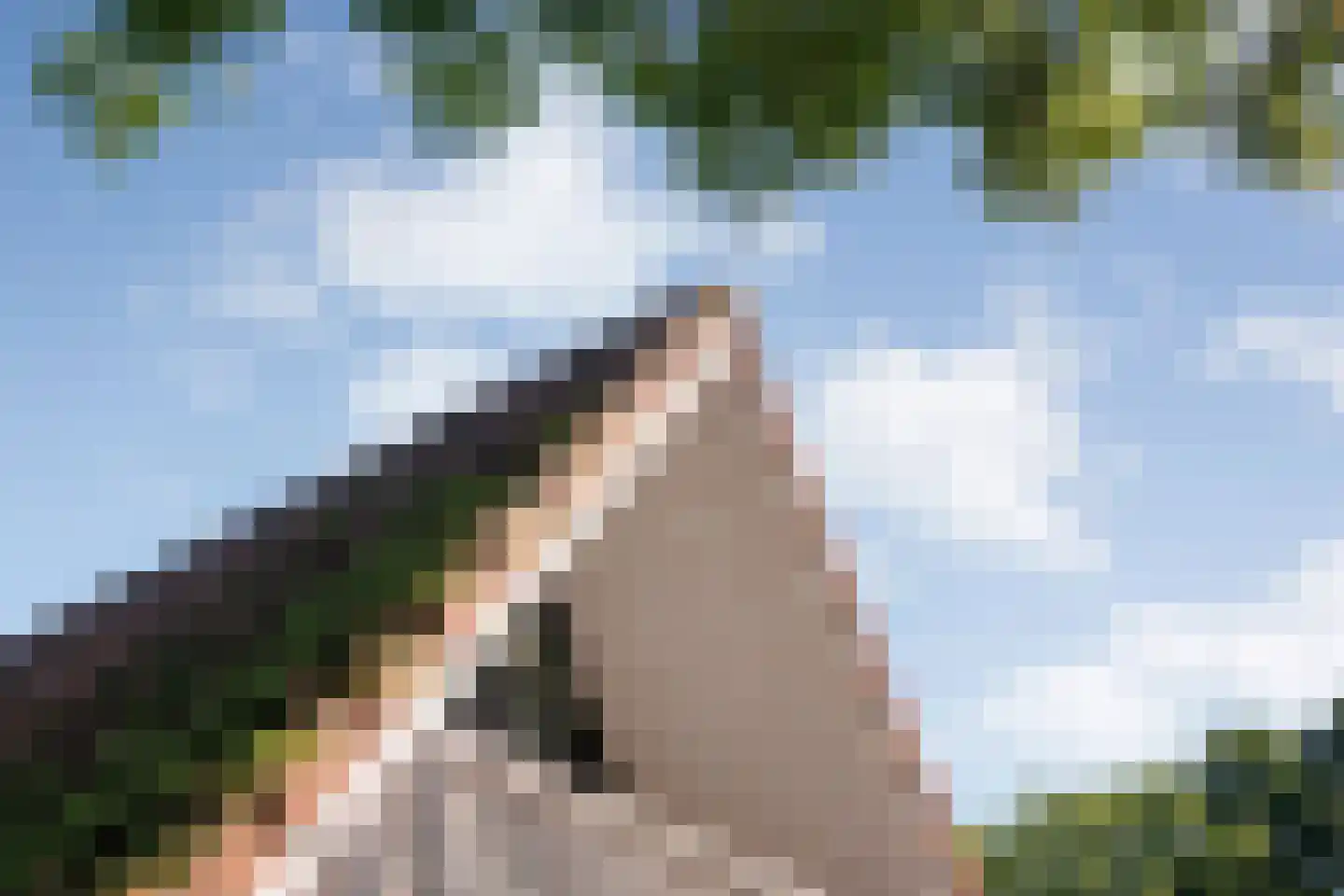 Boslaan 1 116 Gramsbergen thumbnail 32