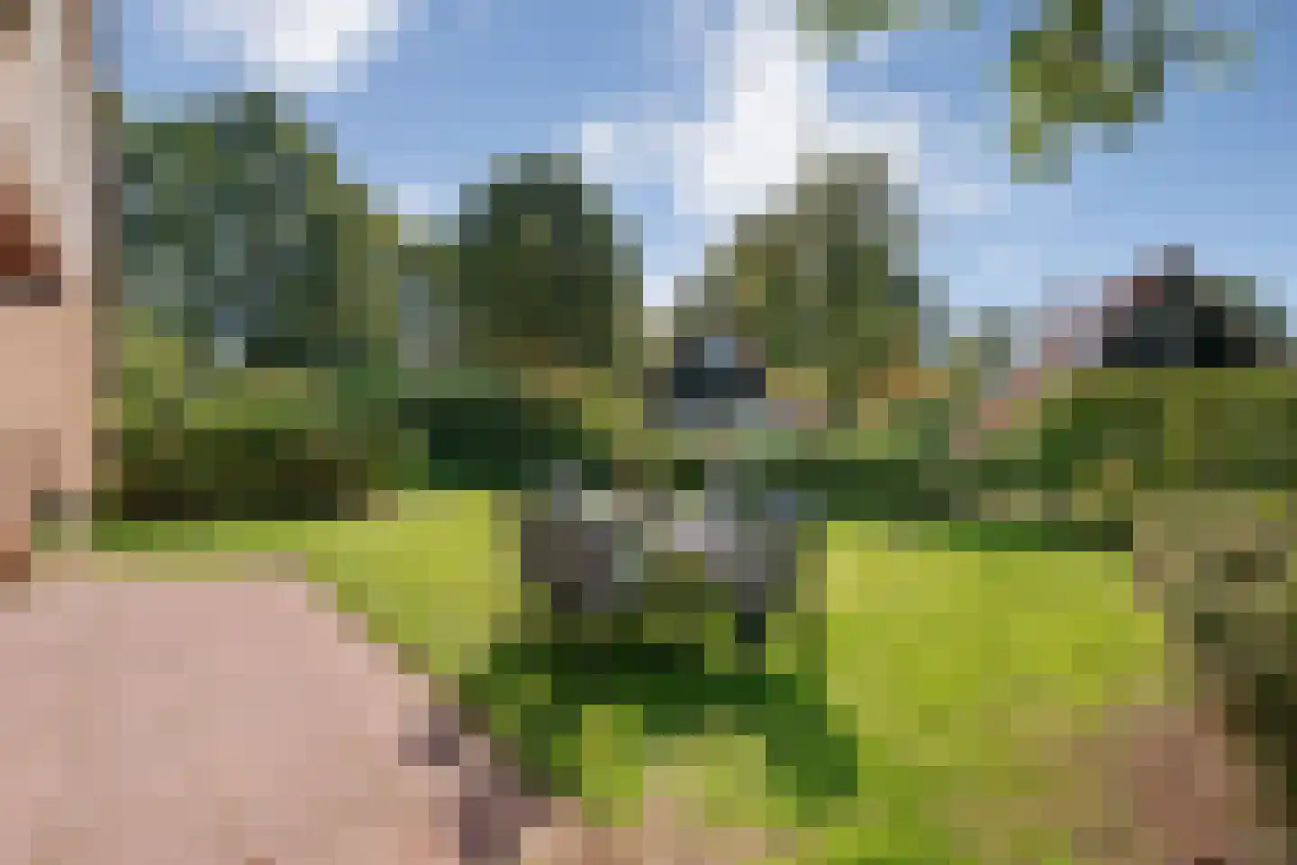 Boslaan 1 116 Gramsbergen thumbnail 33