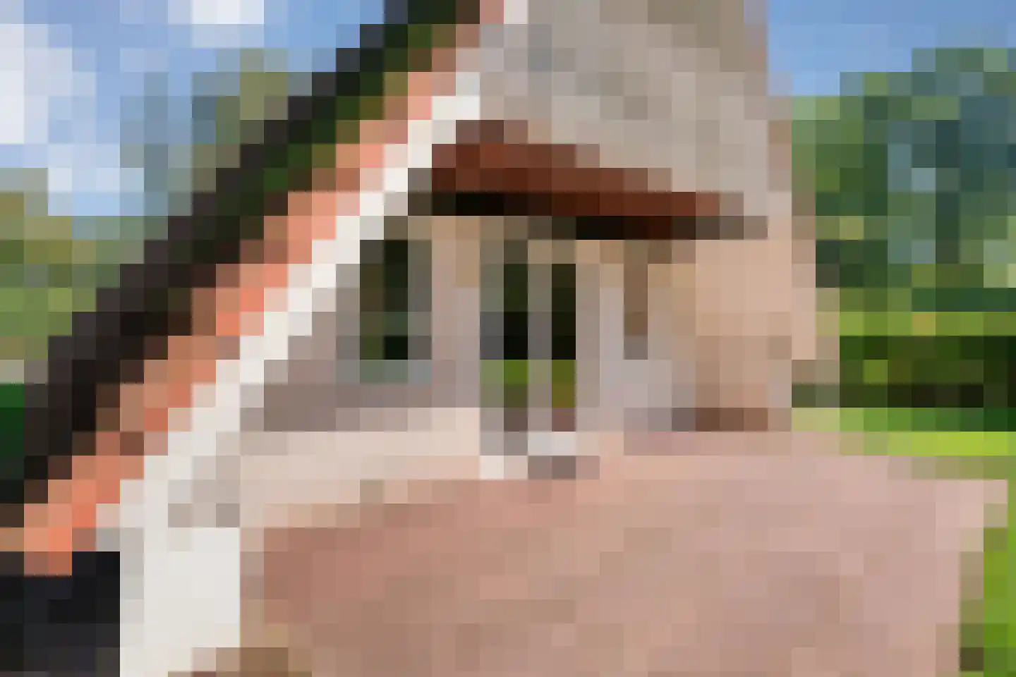 Boslaan 1 116 Gramsbergen thumbnail 34
