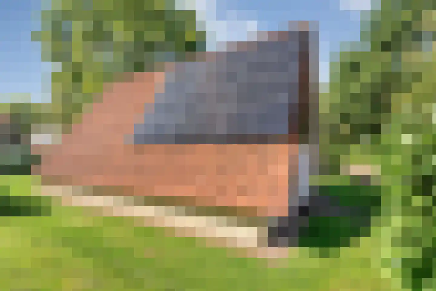 Boslaan 1 116 Gramsbergen thumbnail 35