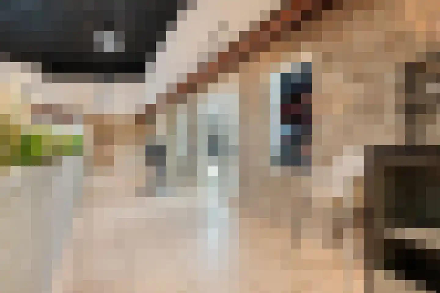Boslaan 1 116 Gramsbergen thumbnail 38