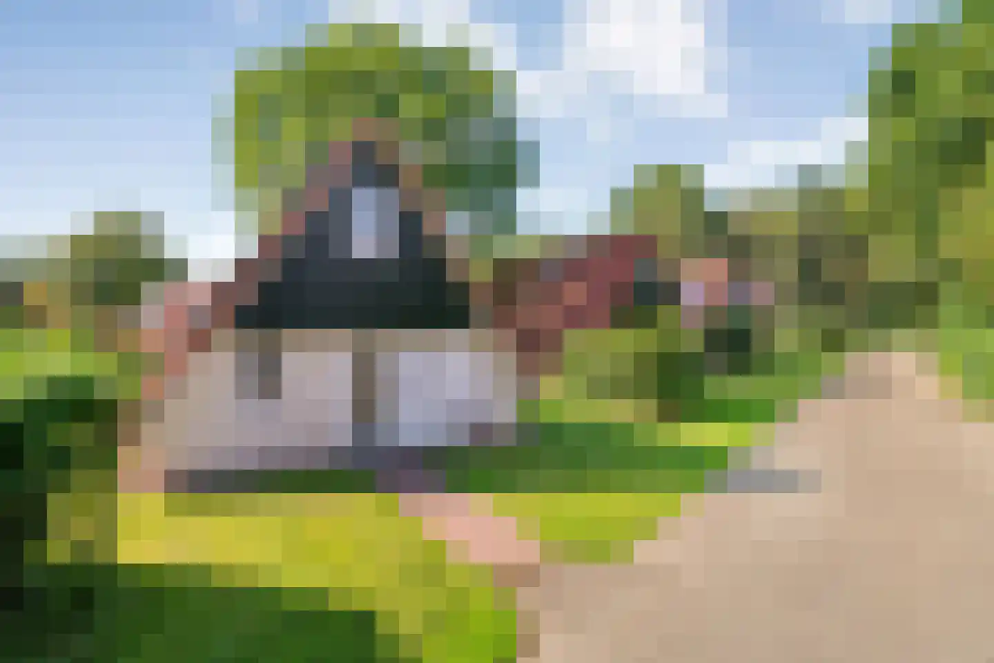 Boslaan 1 116 Gramsbergen thumbnail 5