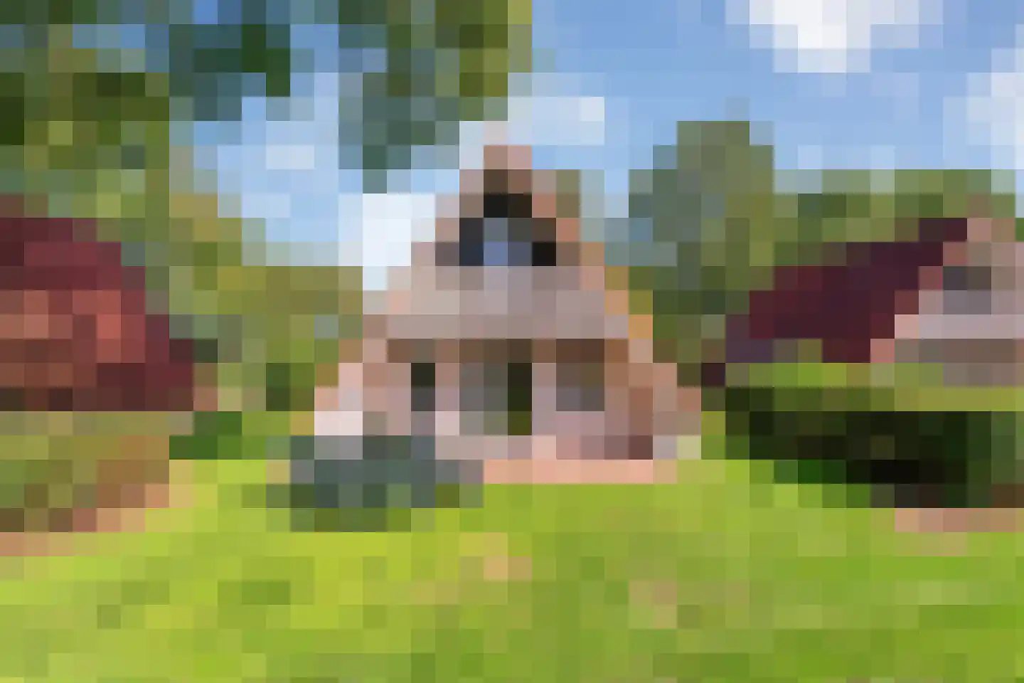Boslaan 1 116 Gramsbergen thumbnail 51