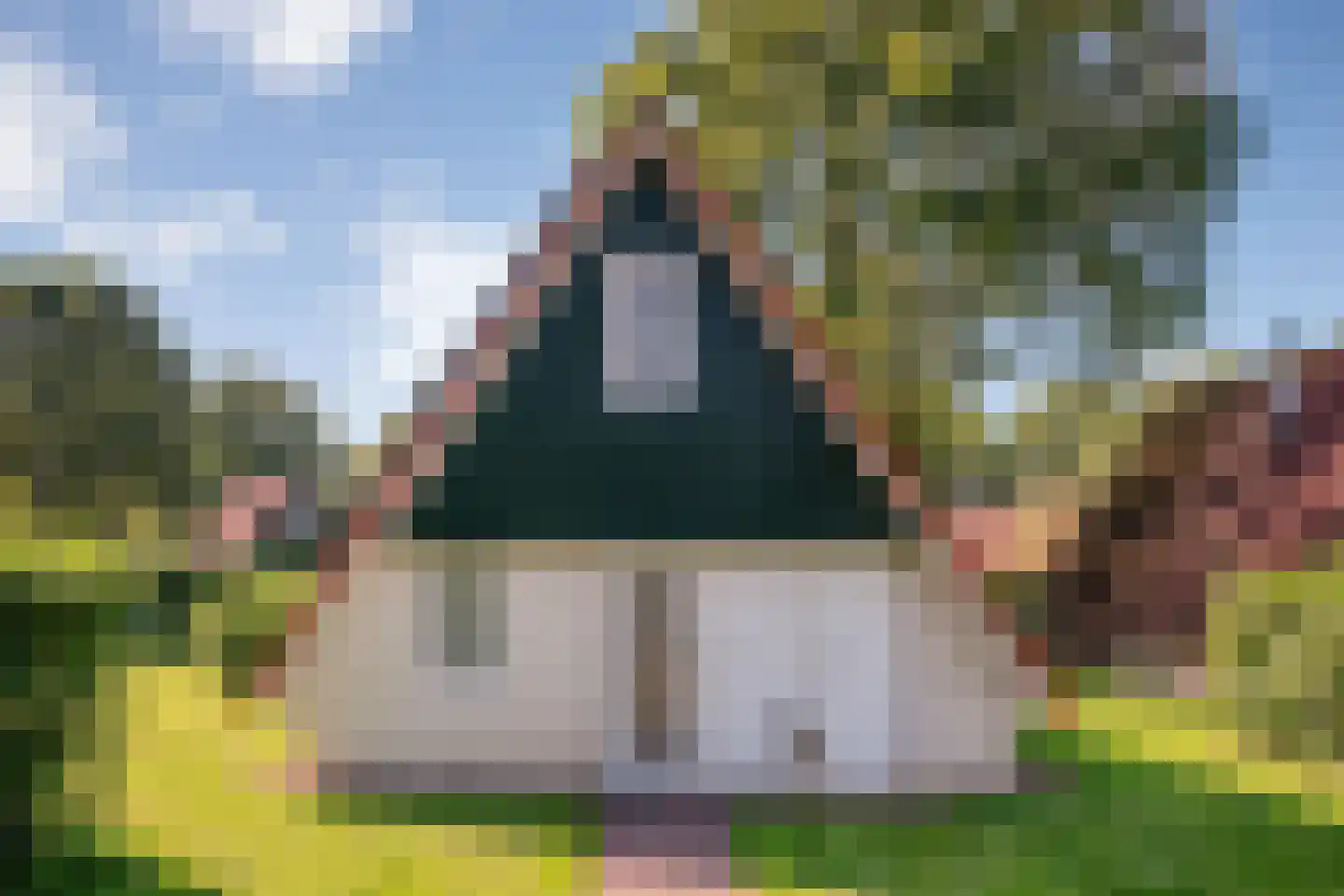 Boslaan 1 116 Gramsbergen thumbnail 7