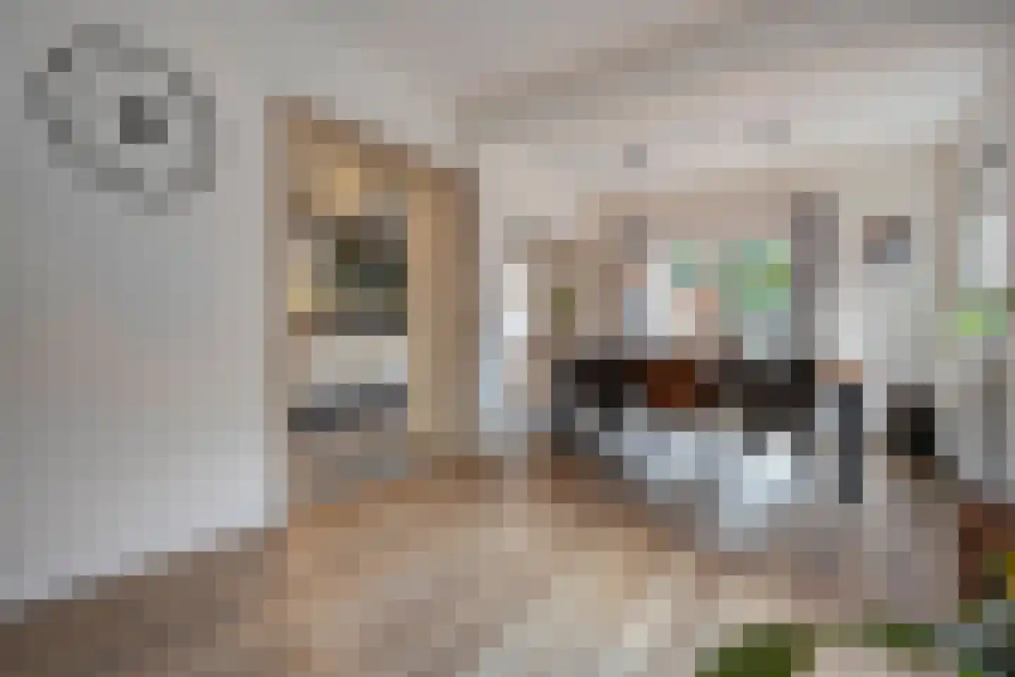 Boslaan 1 Balkbrug thumbnail 11