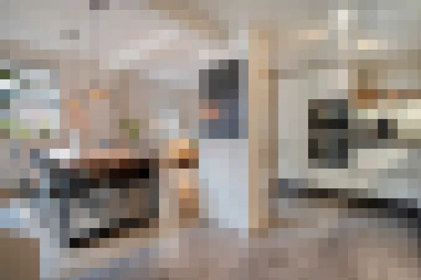 Boslaan 1 Balkbrug thumbnail 12