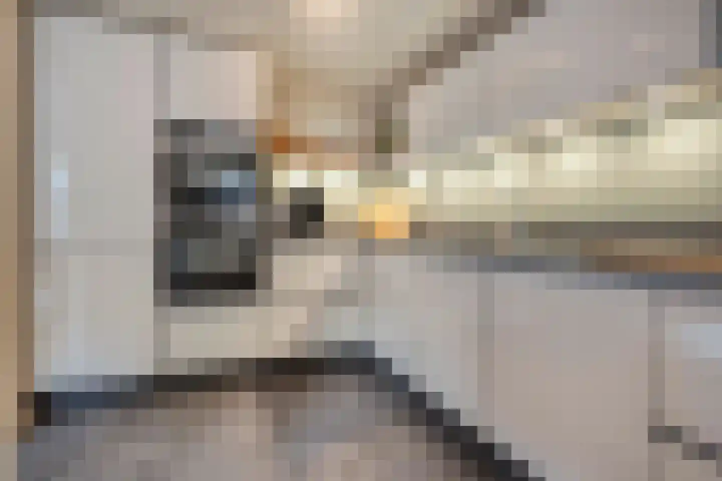 Boslaan 1 Balkbrug thumbnail 16