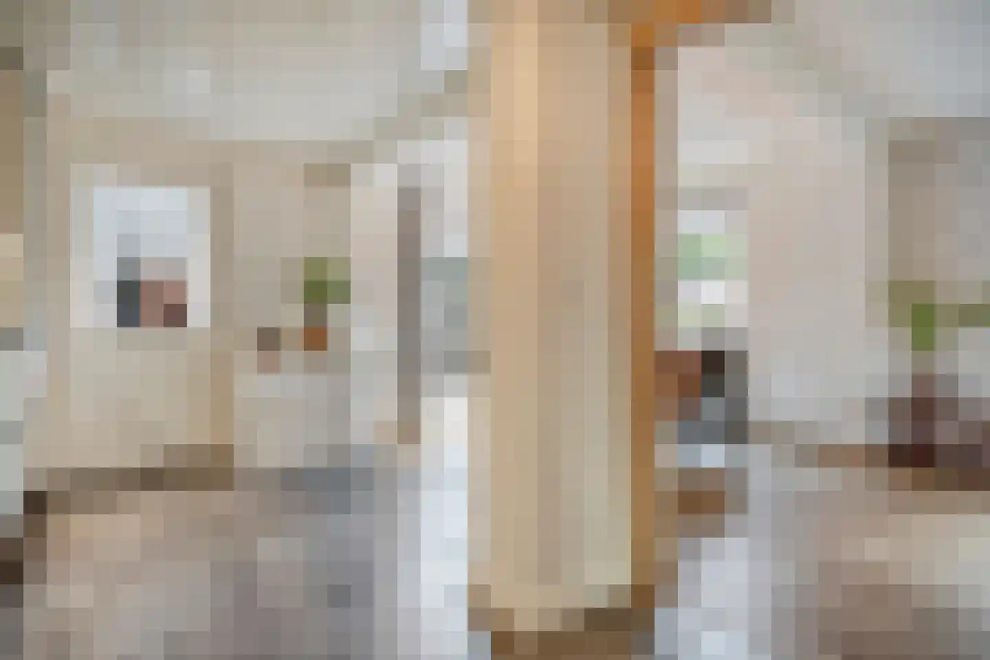 Boslaan 1 Balkbrug thumbnail 18
