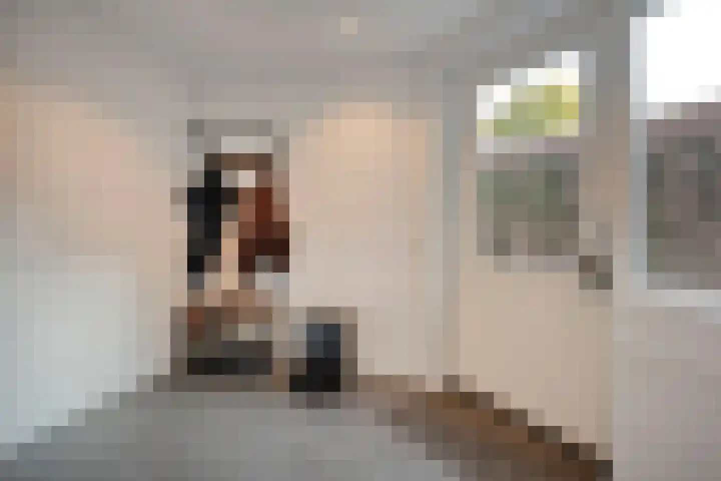 Boslaan 1 Balkbrug thumbnail 20
