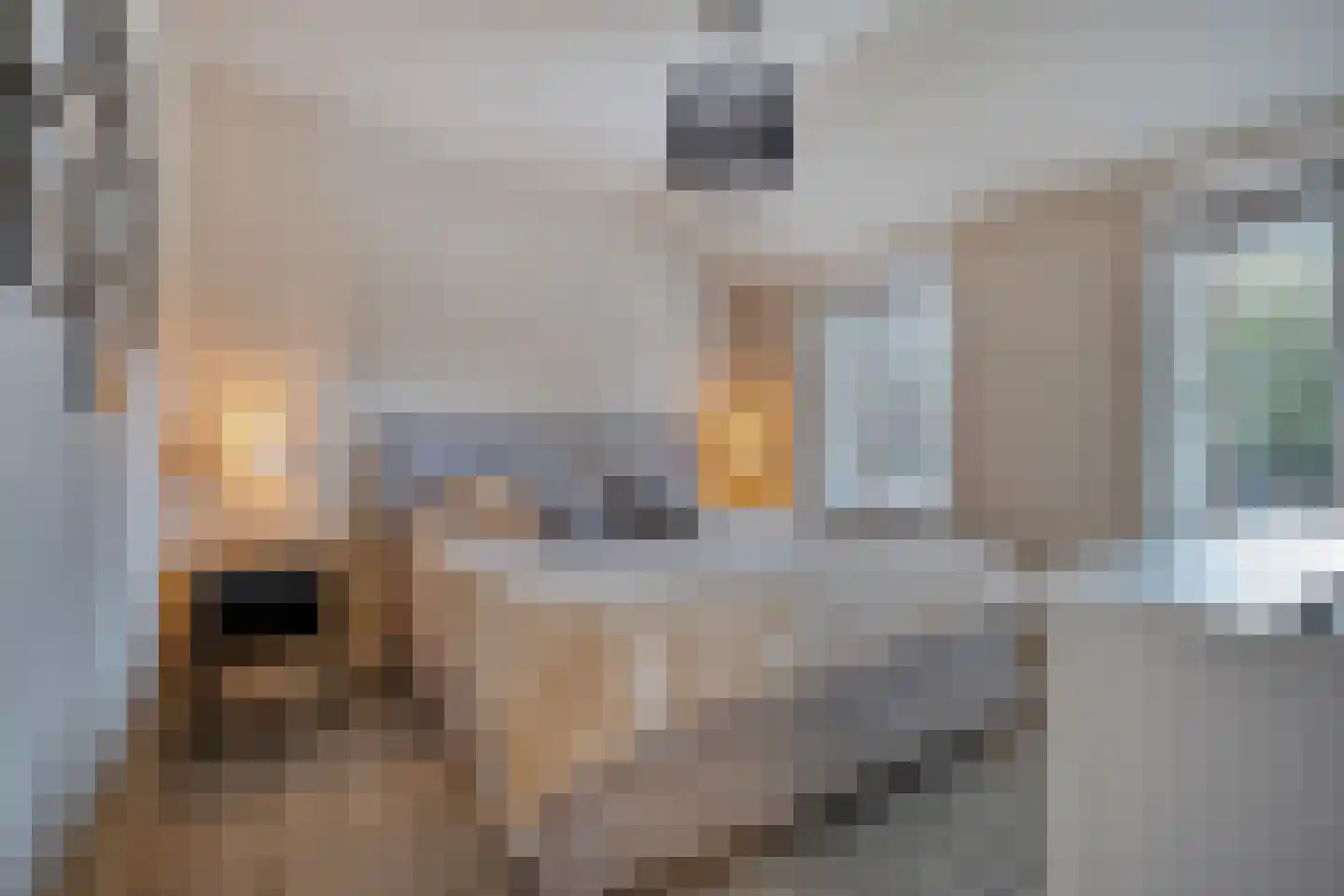 Boslaan 1 Balkbrug thumbnail 22