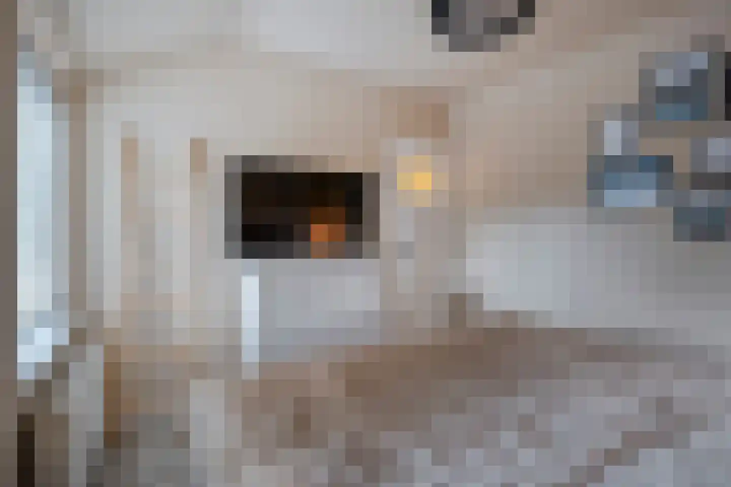 Boslaan 1 Balkbrug thumbnail 23