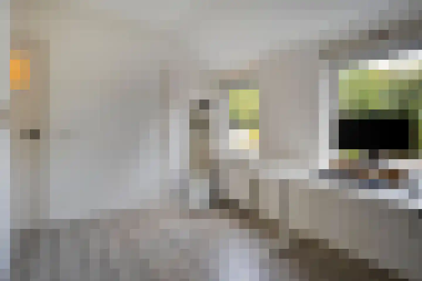 Boslaan 1 Balkbrug thumbnail 26